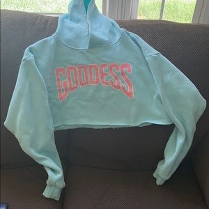 Fashion Nova Large Crop Hoodie